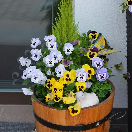 Hotel Garni Franca